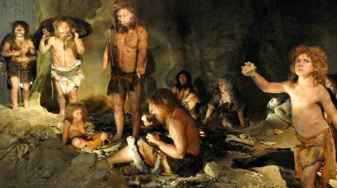 Our Cousins Neanderthals